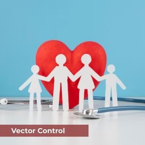 Vector Crontrol by Vector Diseases Foundation